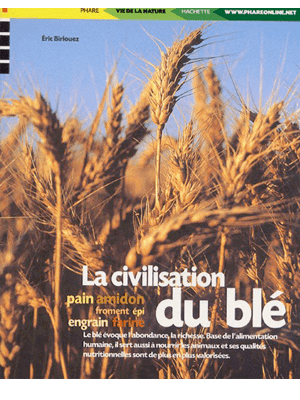 La civilisation du blé